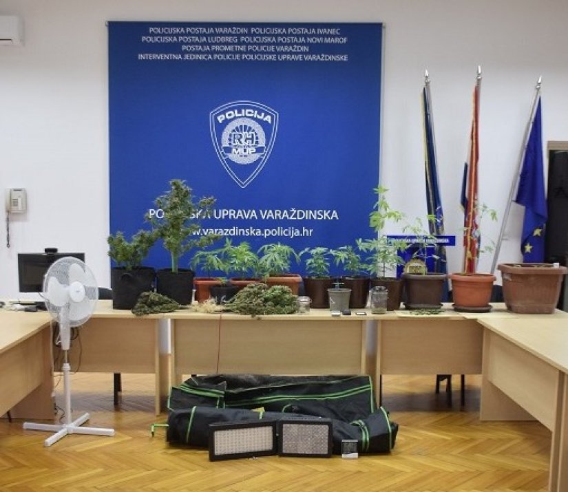 Kod 30-godišnjaka i 32-godišnjaka pronašli indijsku konoplju, slijede im kaznene prijave