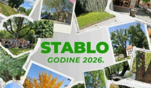 Otvoreno glasanje za Stablo godine 2026. Varaždina i Varaždinske županije, iza svakog kandidata krije se priča vrijedna glasa
