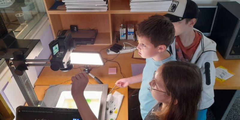 Prijavite se na 22. Ljetne filmske radionice Filmsko-kreativnog studija VANIMA