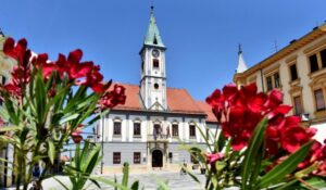 VARAŽDIN Ponovljeni javni poziv za prijavu projekata i programa udruga