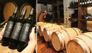 Tražite novi poslovni izazov? Vinarija Kopjar u mjestu Pece, Budinščina, traži agronoma – enologa.