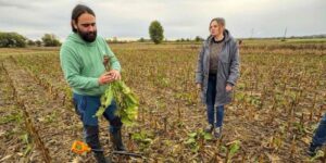 Inovativni projekt: pripreme za istraživanja na poljima Varaždinske županije